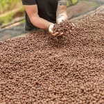 Anaerobik Kahve Nedir?